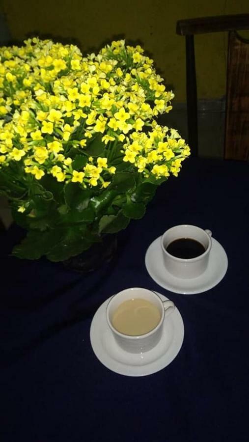 Family Suite,1056289855:JPEG